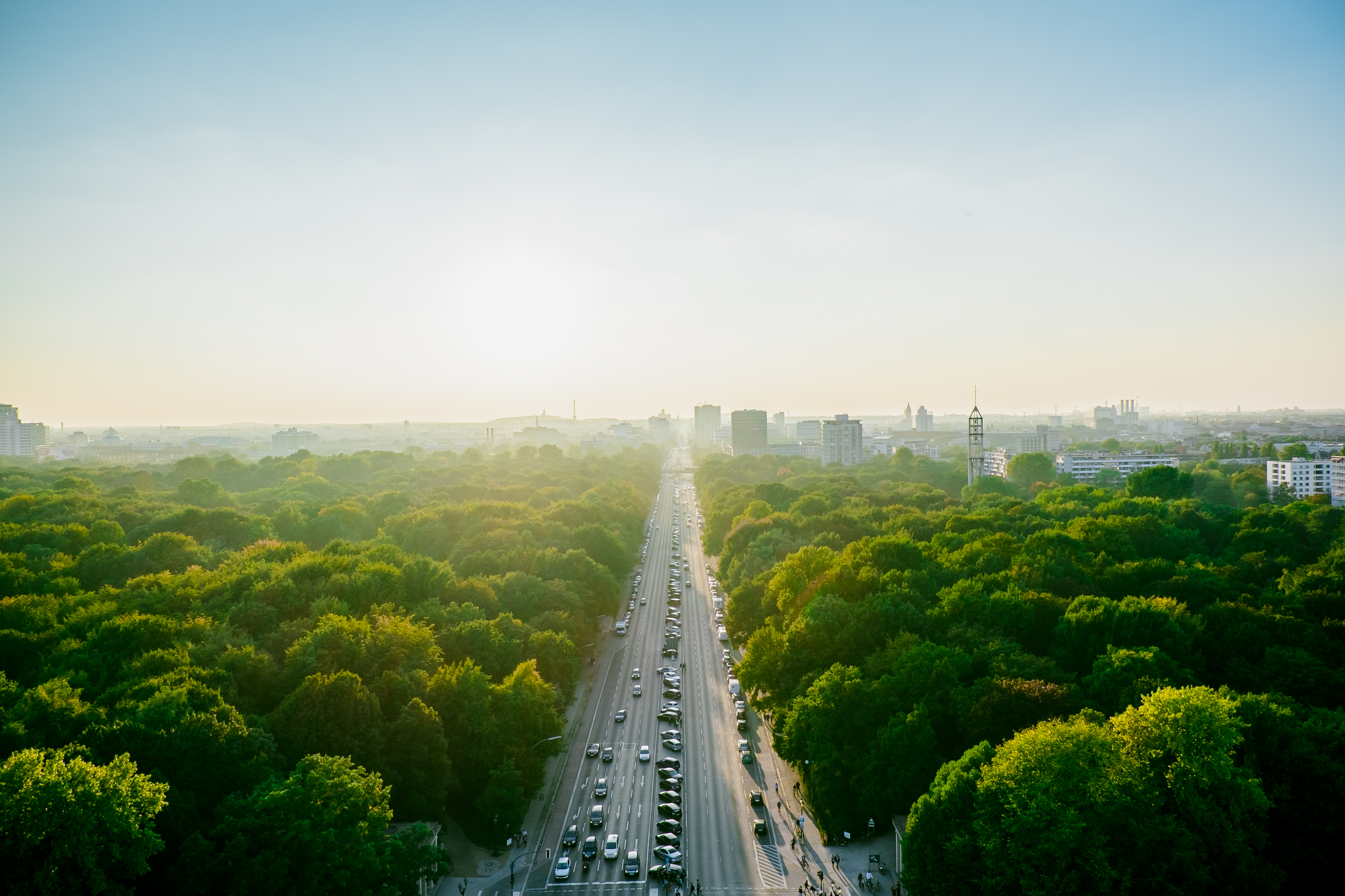 Aerial view of a City and Trees