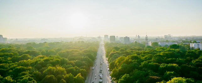 Aerial view of a City and Trees