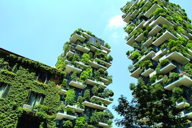 Buildings Covered with Plants