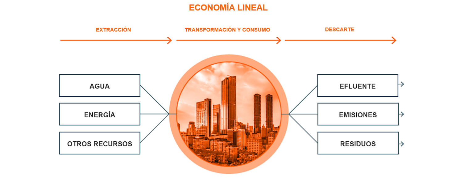 Economía Lineal 2