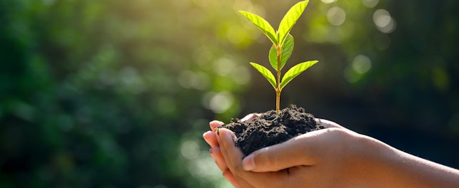 Forest Conservation Concept