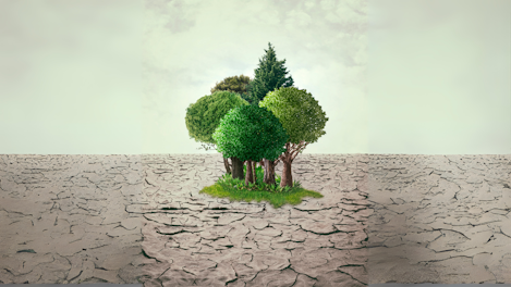Deforestacion EUDR