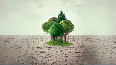 Deforestacion EUDR