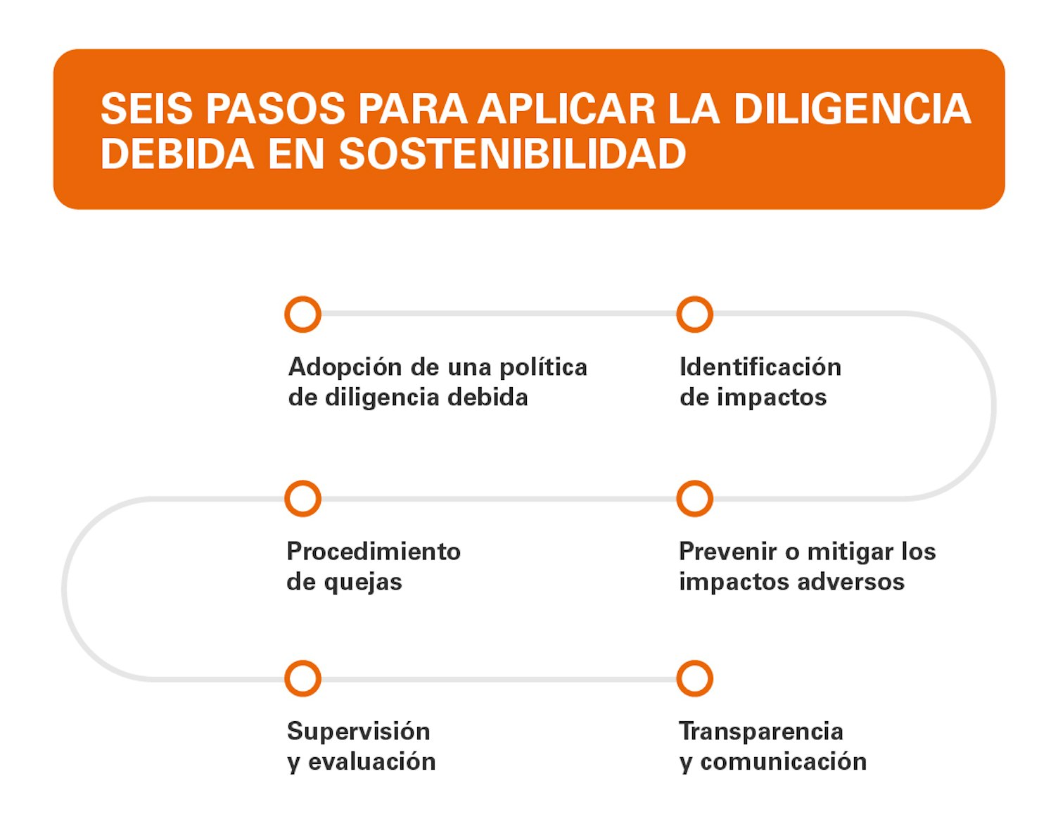 Pasos para aplicar la diligencia debida en sostenibilidad