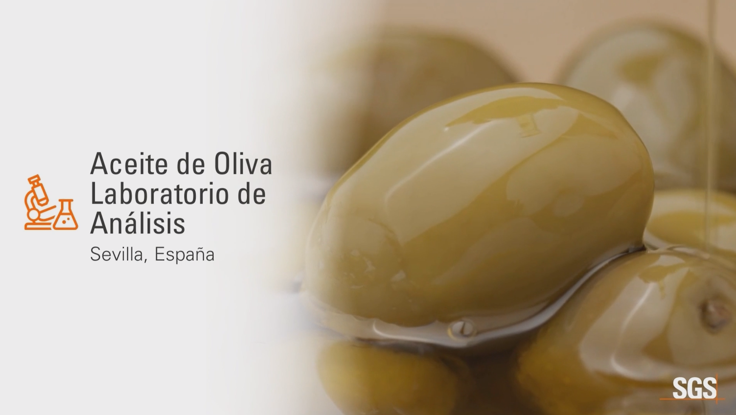 Portada Laboratorios Sevilla