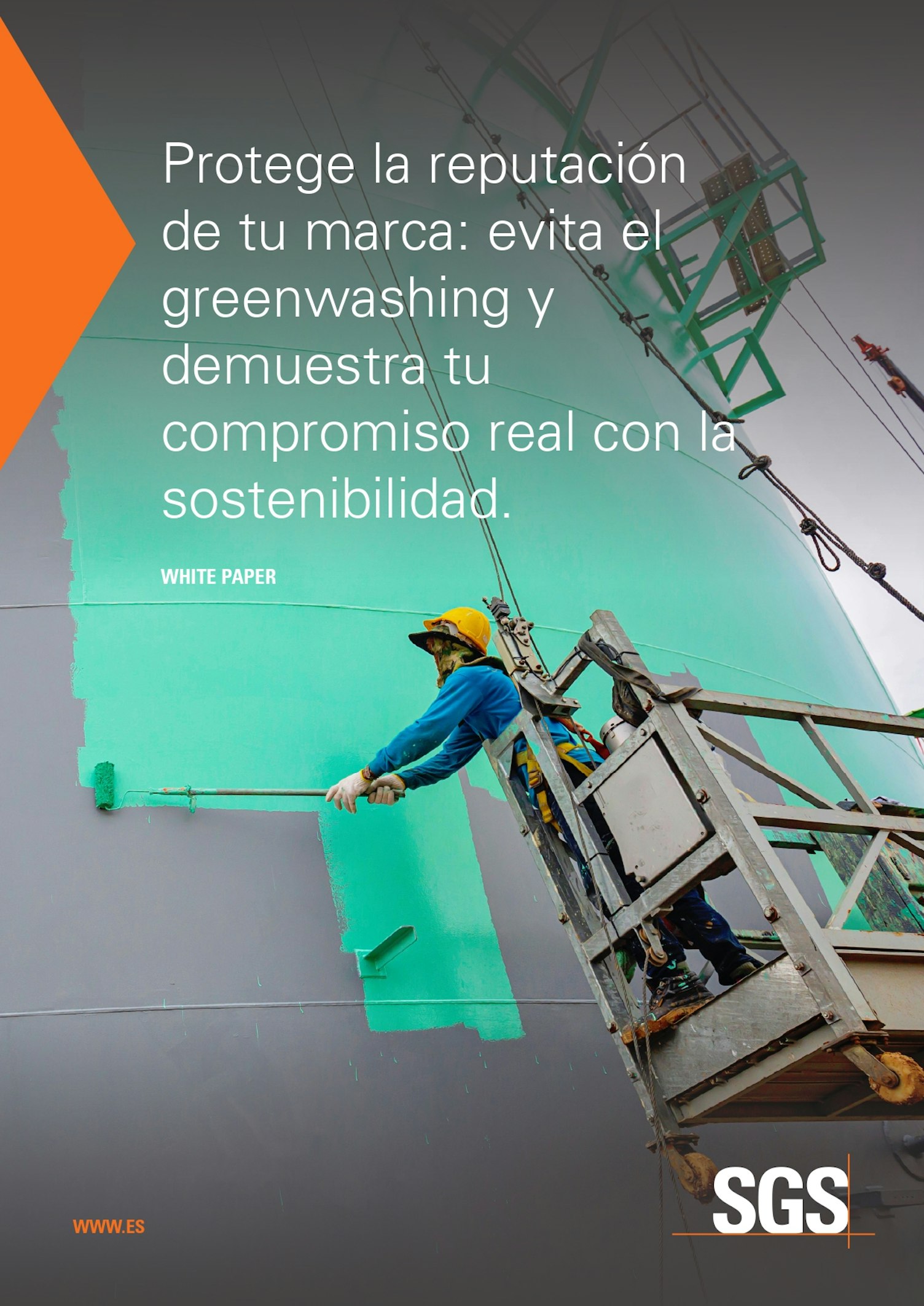 Protege la Reputacion de tu Marca Evita el Greenwashing y Demuestra tu Compromiso Real con la Sosten