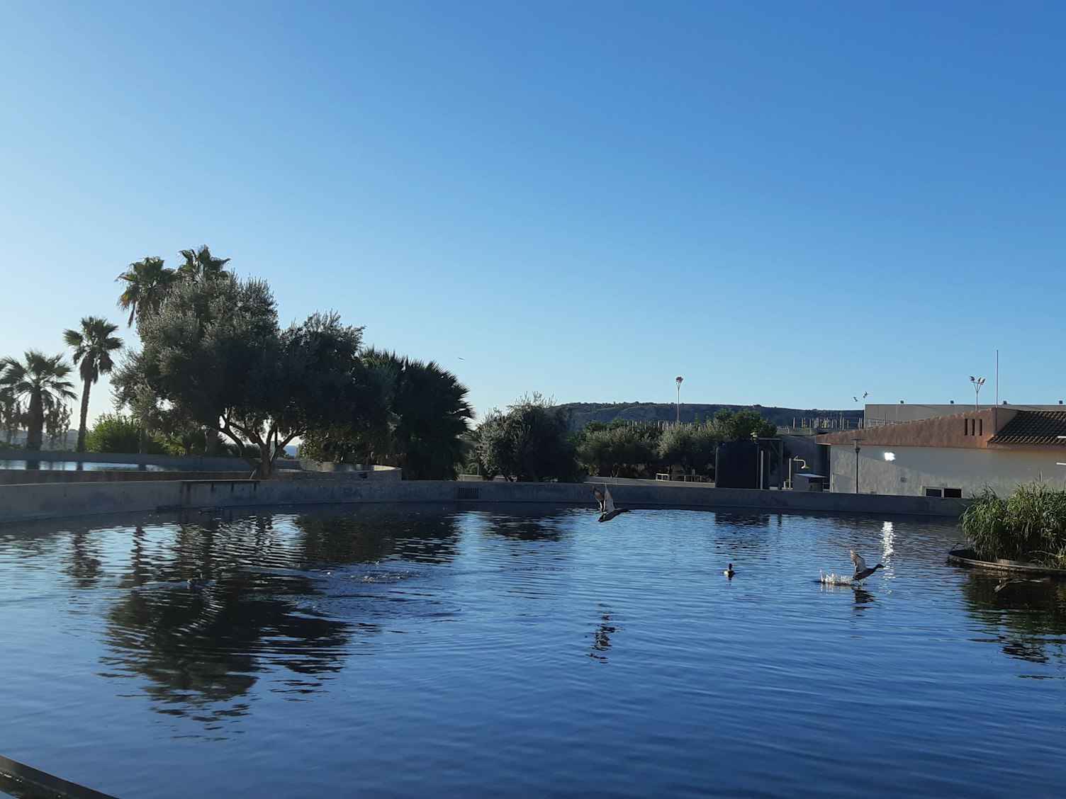 SGS y Aguas de Alicante