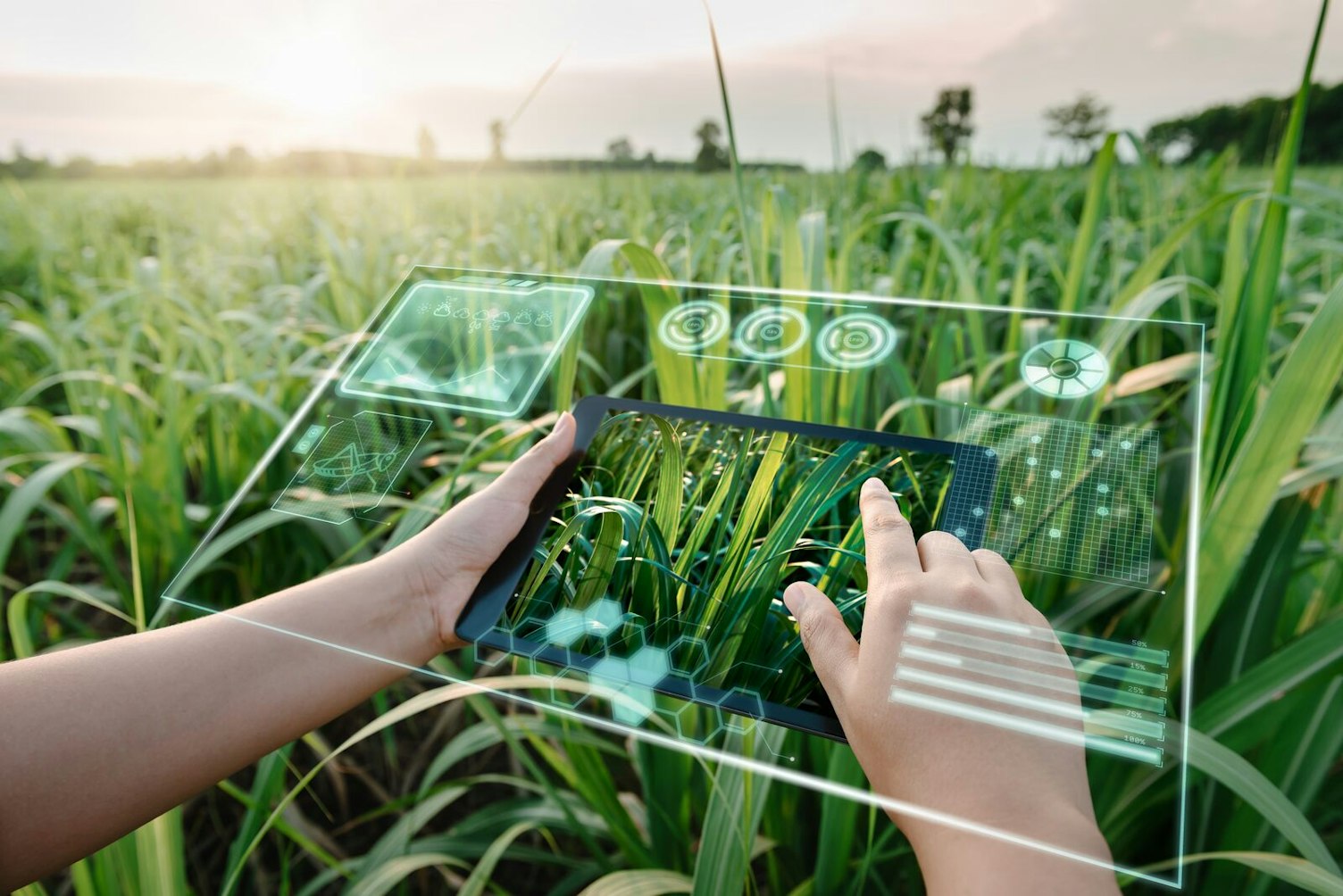 farm worker using digital tablet with virtual reality artificial intelligence