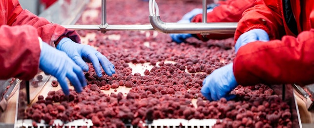 frozen fruit factory