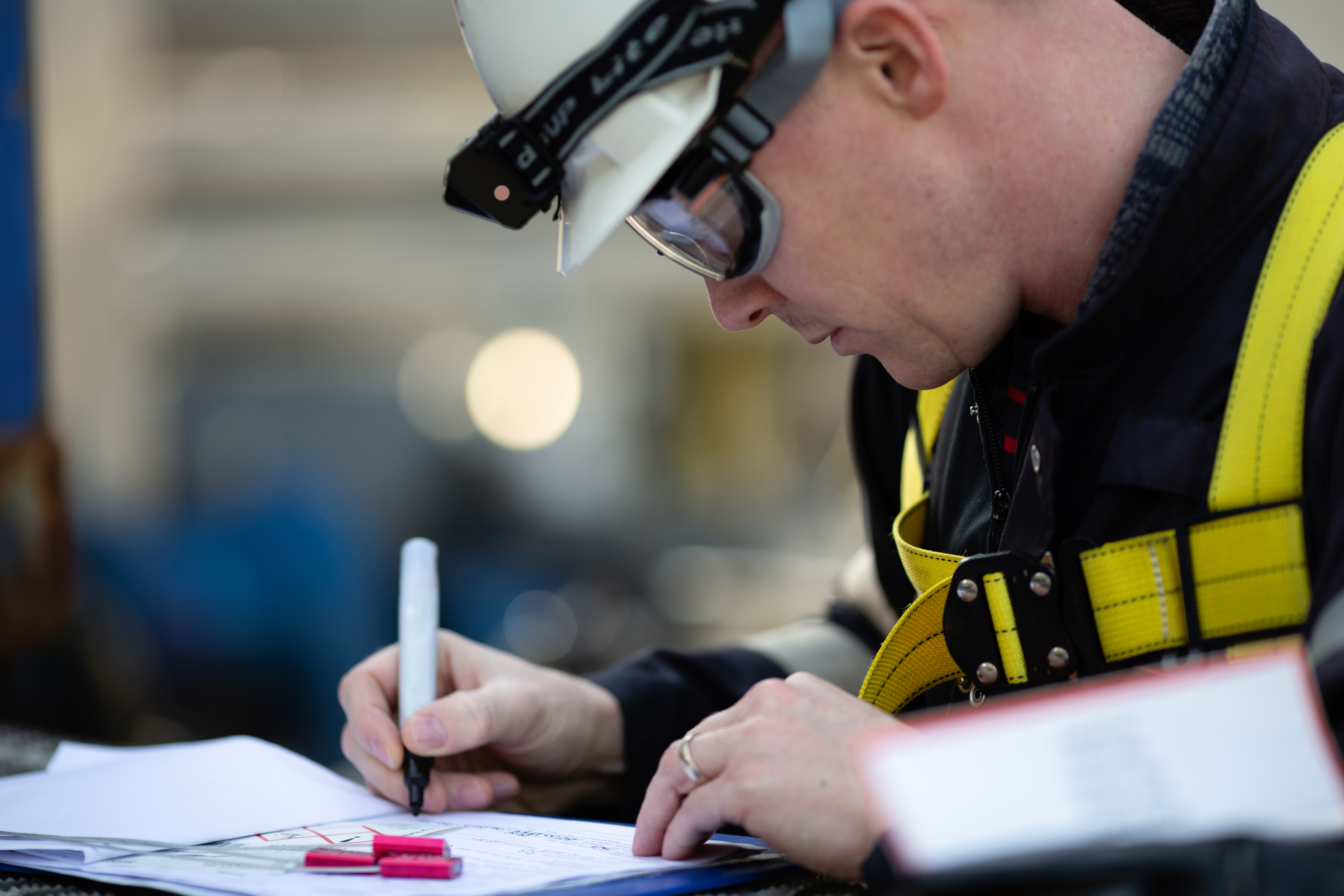 verification service