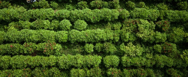 เอสจีเอสตรวจวิเคราะห์ปุ๋ย