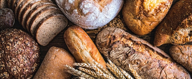 Variety of Whole Wheat Breads