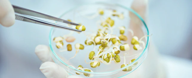 GMO test