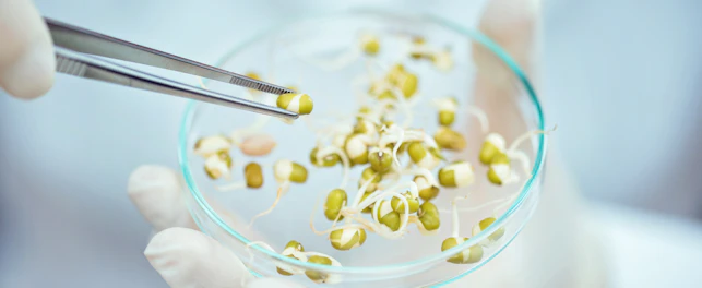 GMO Test