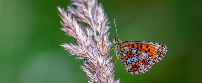 SGS launches environmental DNA service in UK