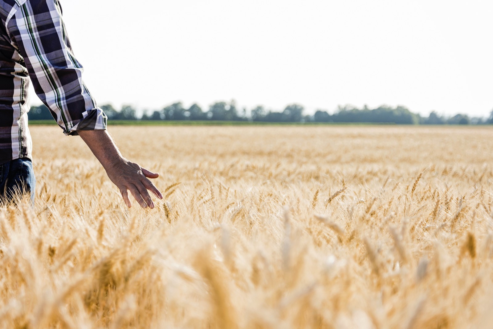 SGS to Showcase eDNA Services at Cereals 2026