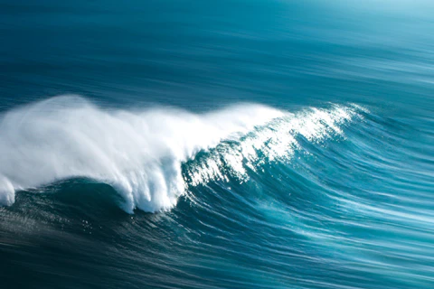 SGS UK’s new environmental DNA services showcased at congresses