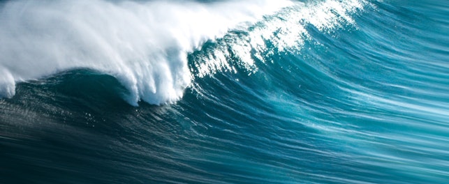 SGS UK’s new environmental DNA services showcased at congresses