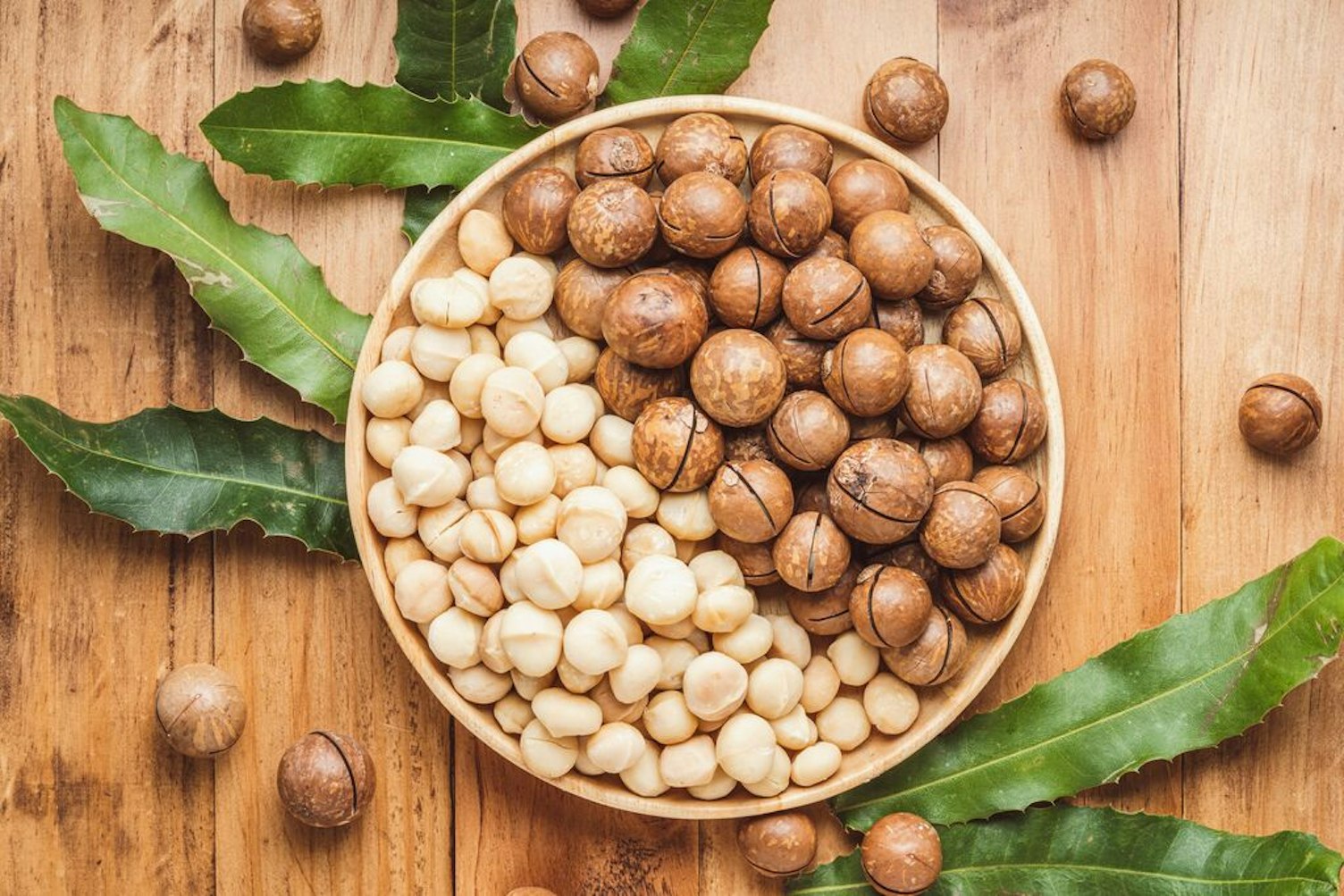 Roasted Macadamia Nuts