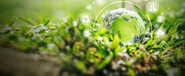 SGS and Sami officially launch decarbonisation platform in the UK