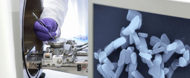Squeezy Dumplings Recall Highlights the Critical Role of Chemical Testing in Toy Safety at SGS