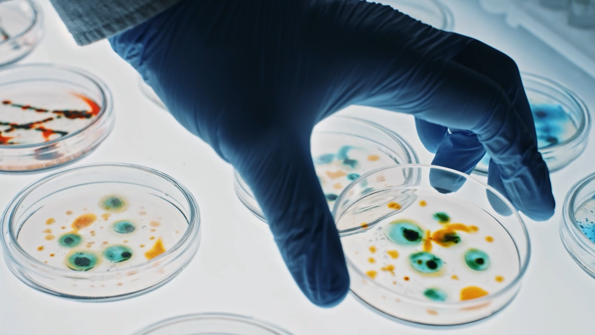 Vitrology Banner V1 Thumbnail