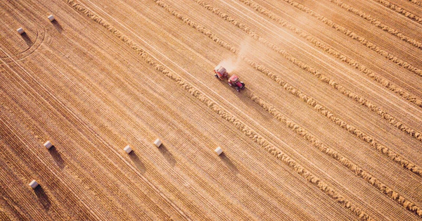 Jining Dongyun Foods Techology Co Ltd 2 | SGS Ghana