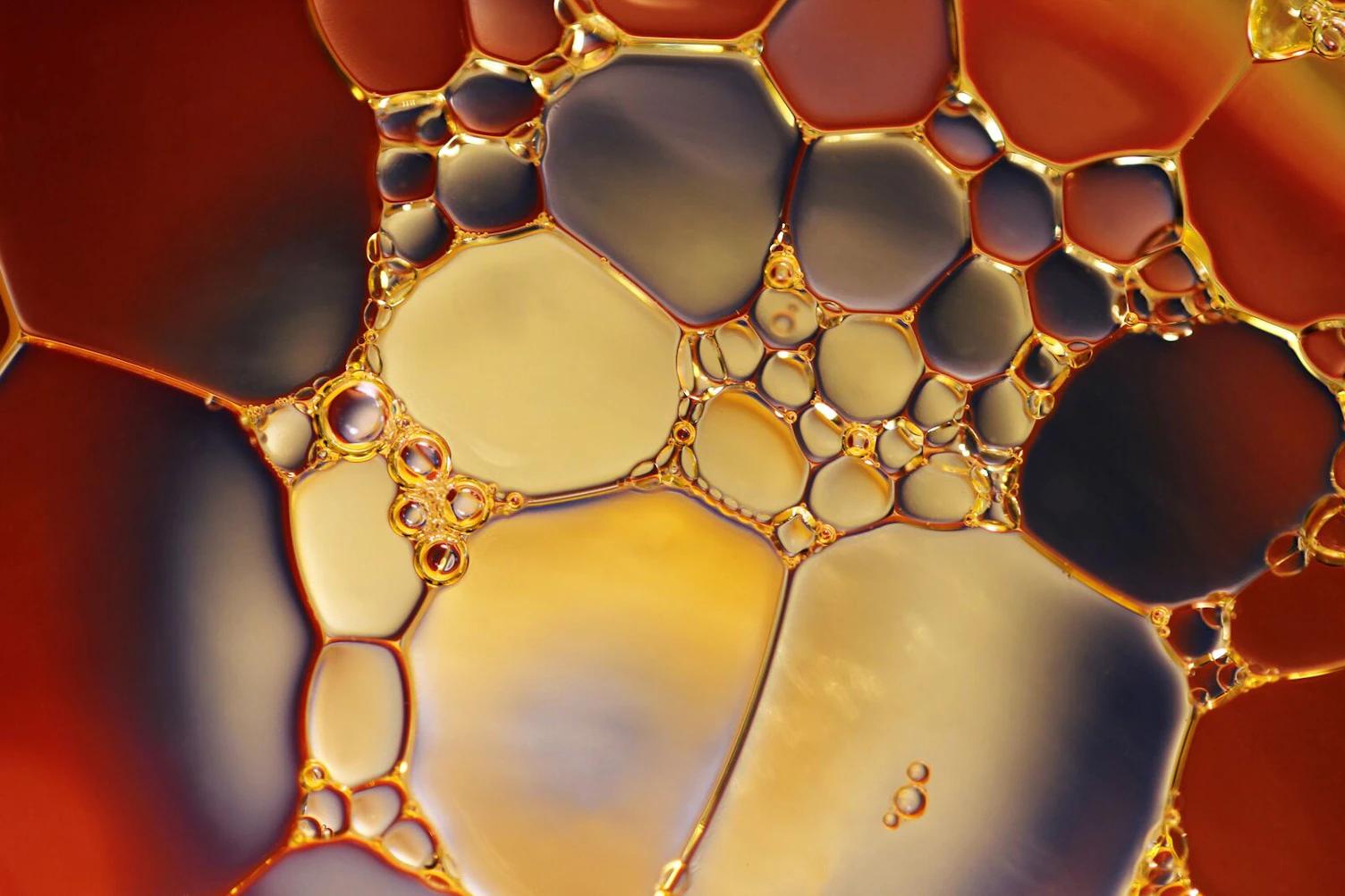 Car Oil