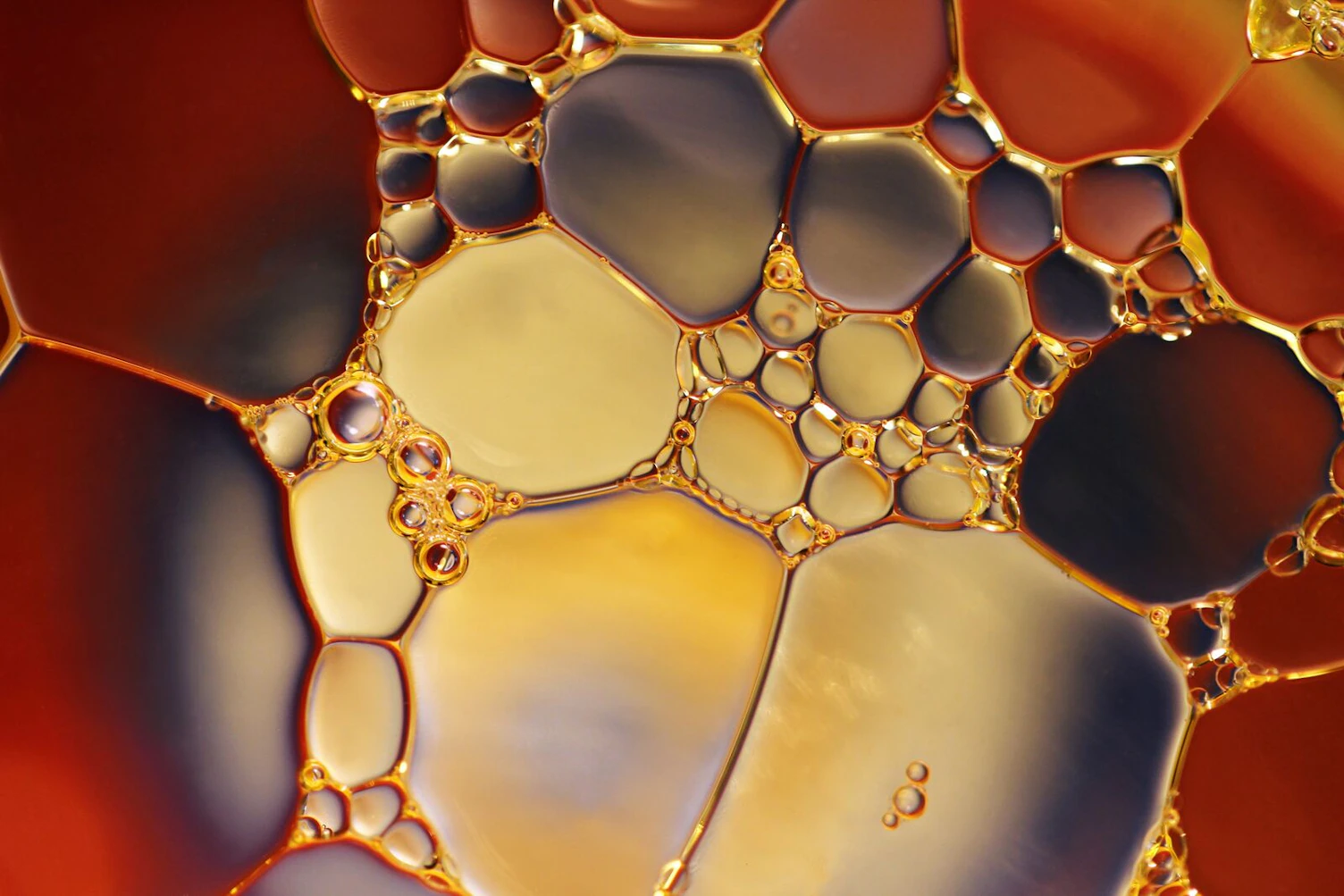 Car Oil
