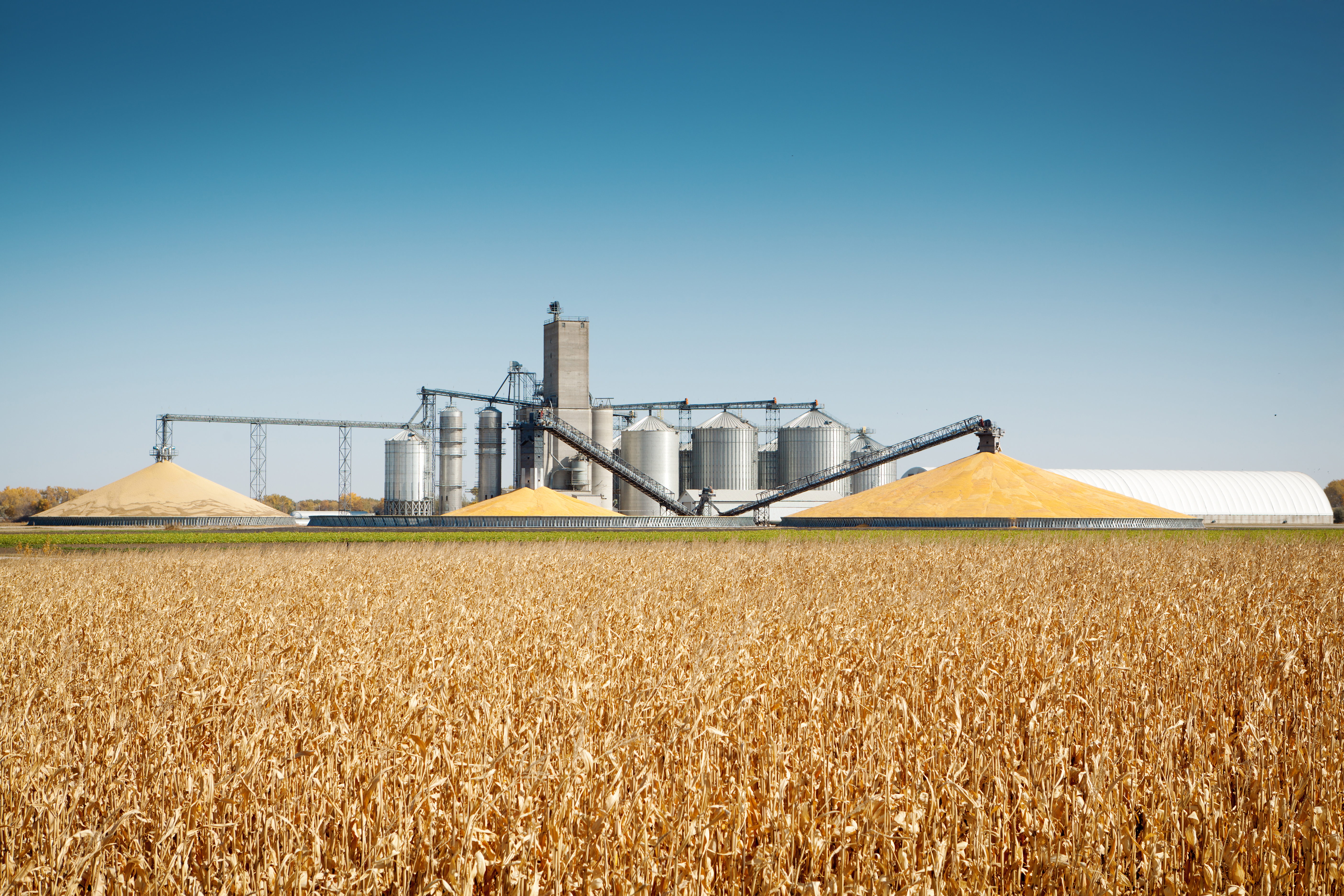 hero Agricultural Commodities