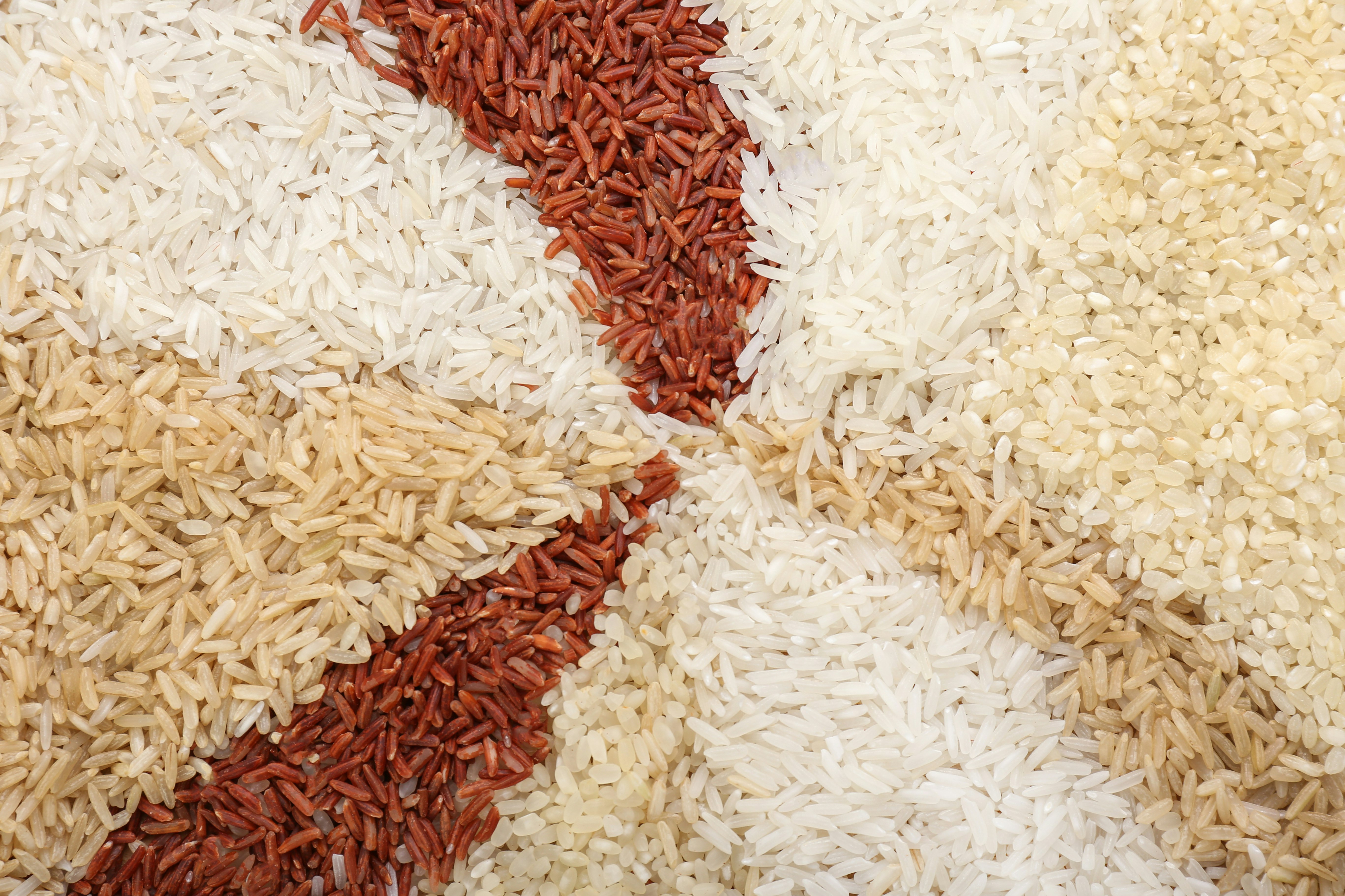 Different Raw Rice as Background
