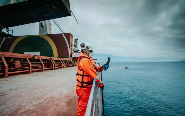 Mineral and Metal Inspection