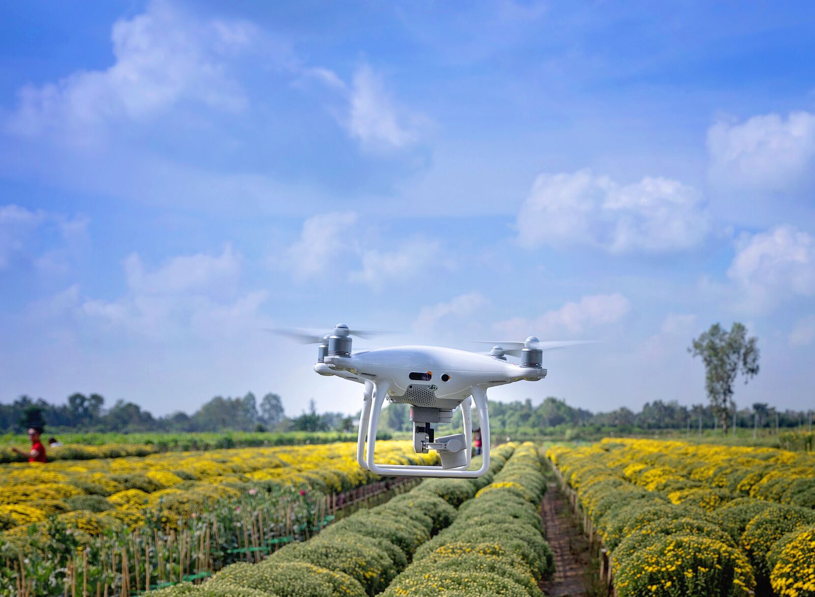 Drone Inspecting Agricultural Field