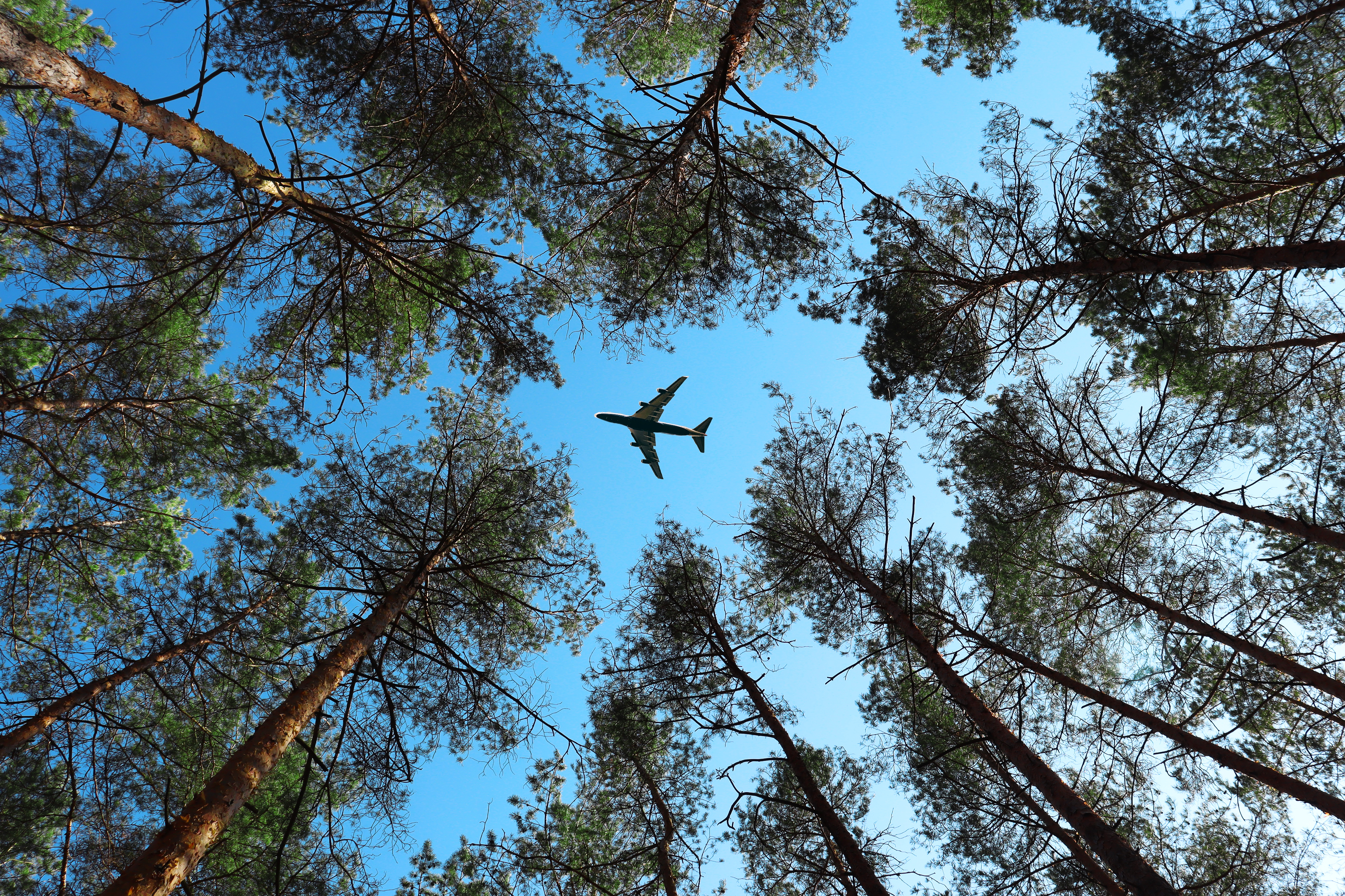 Fastmarkets Biofuels and Feedstocks Europe 2023 SGS USA