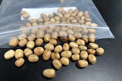Faba Fava Beans Guelph