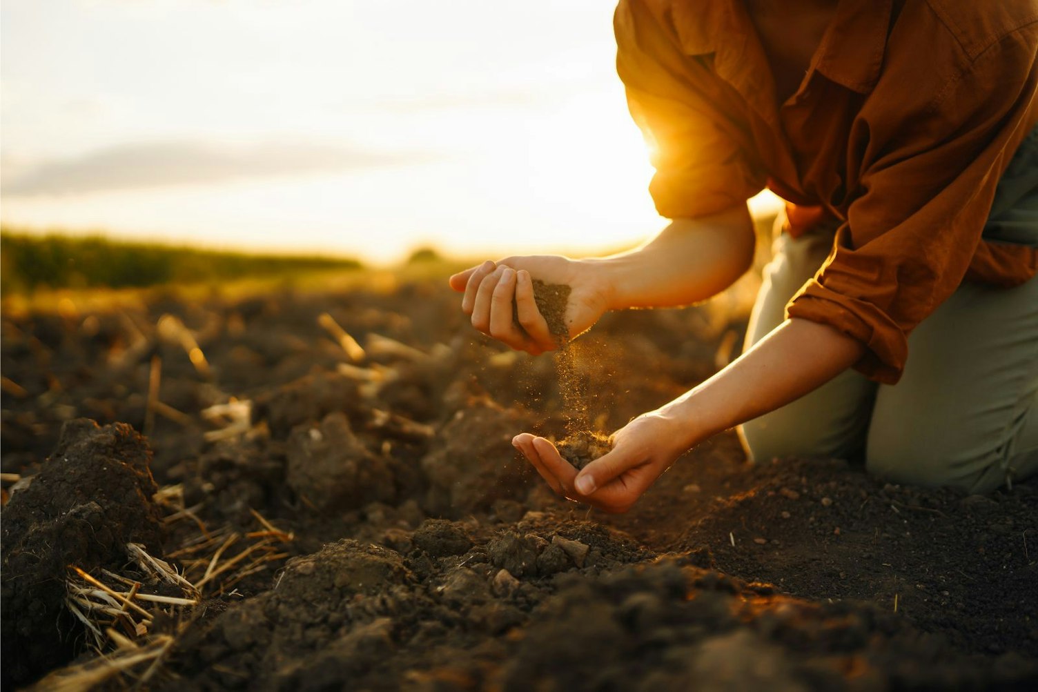 Farmer Checking Soil Health