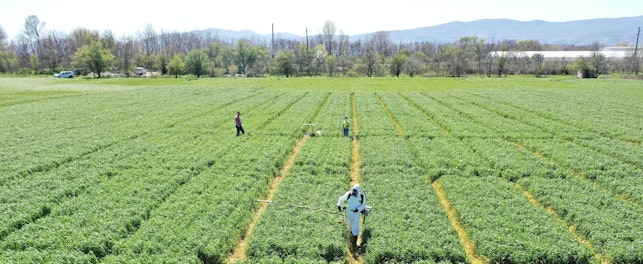 Field Trials Crop Science
