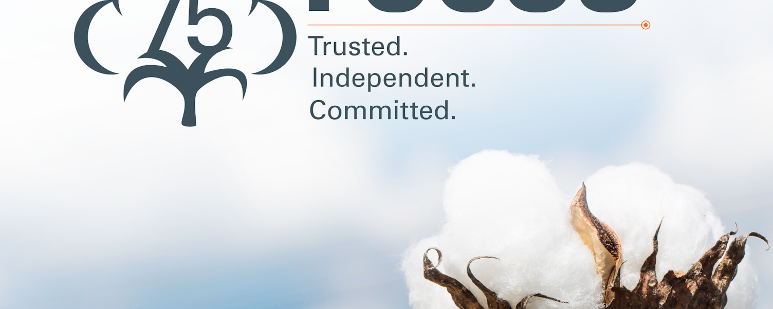 Focus on Cotton 2022