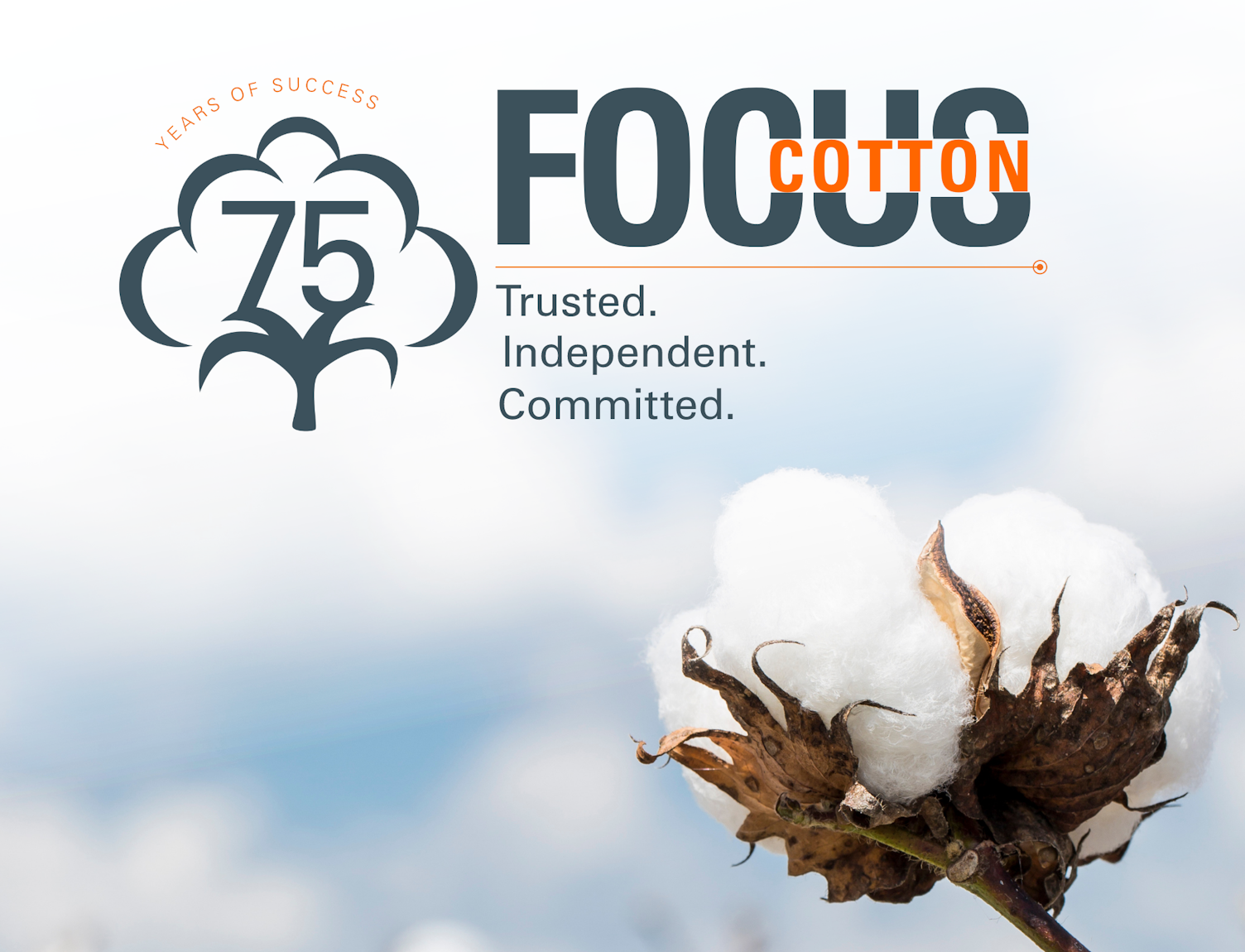 Focus on Cotton 2022
