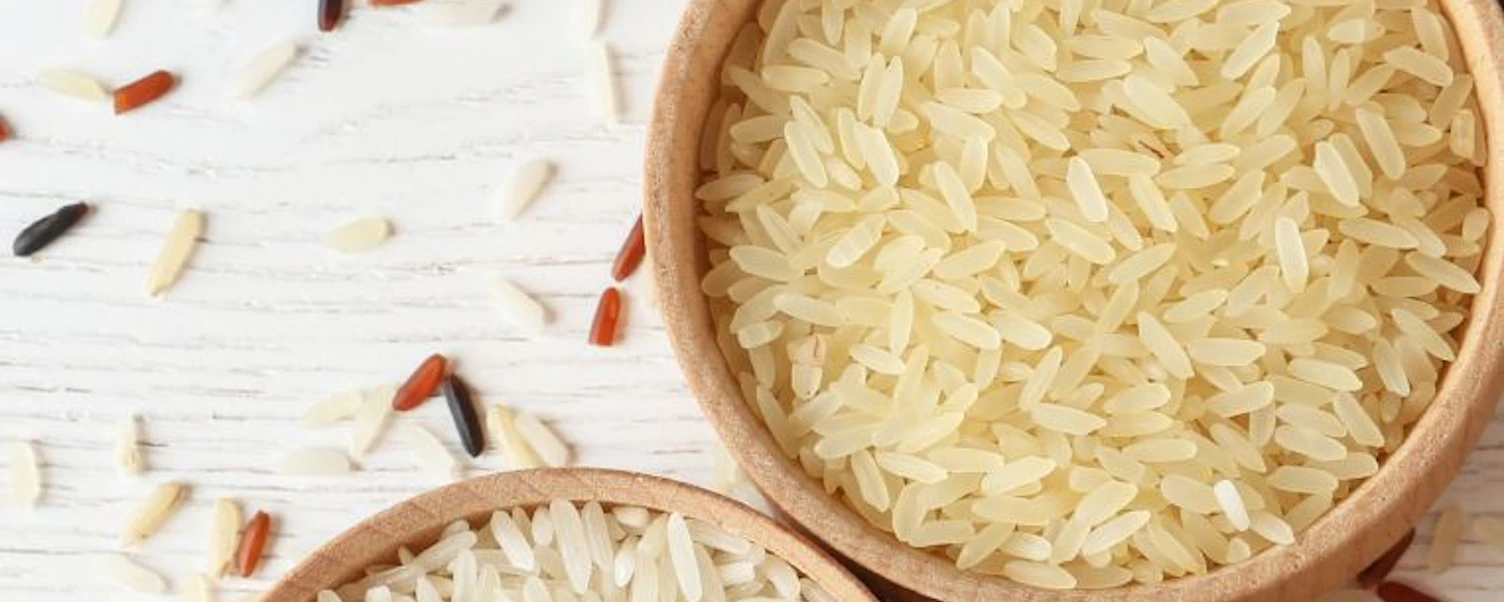 Focus on Rice 2023