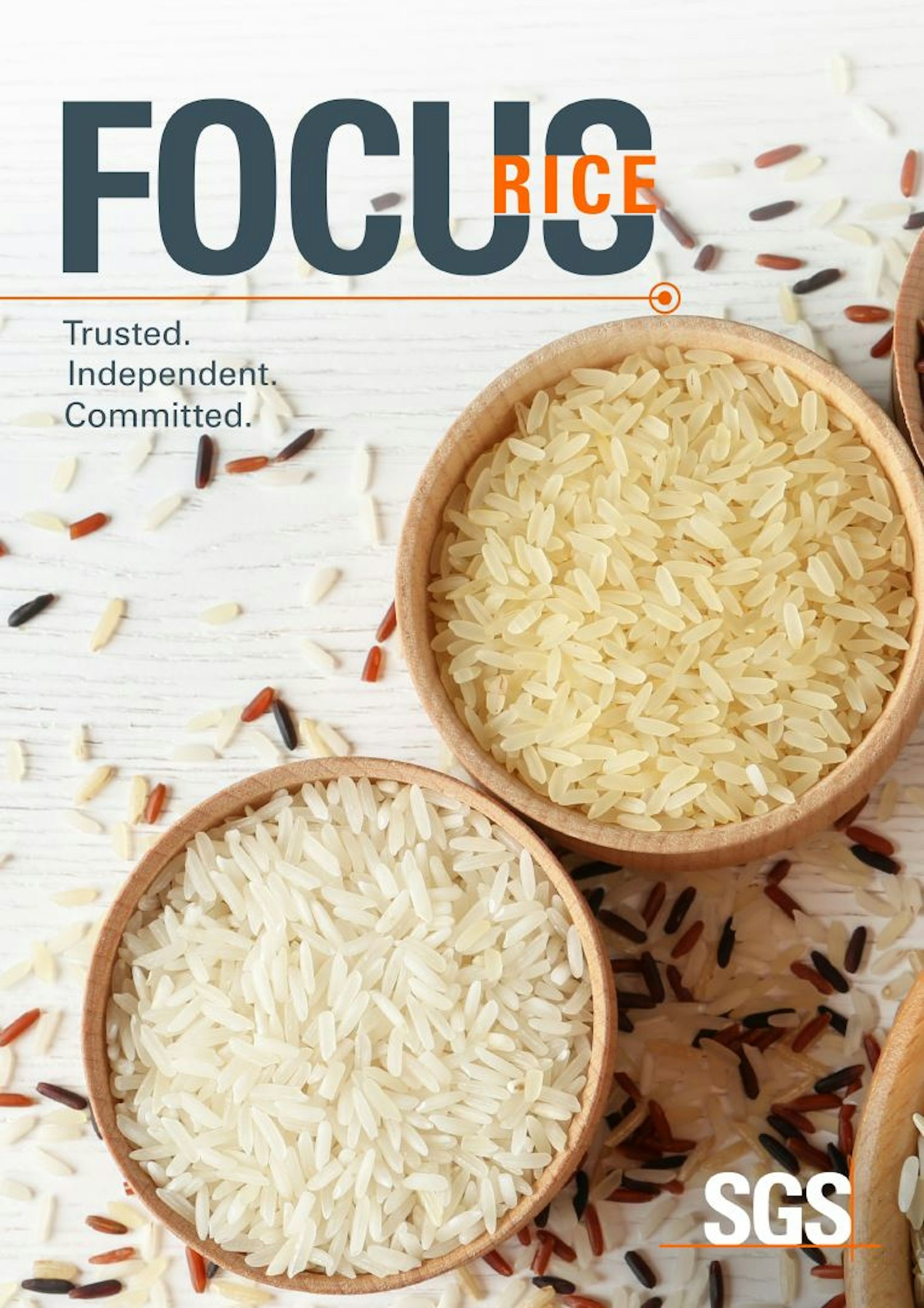 Focus on Rice 2023
