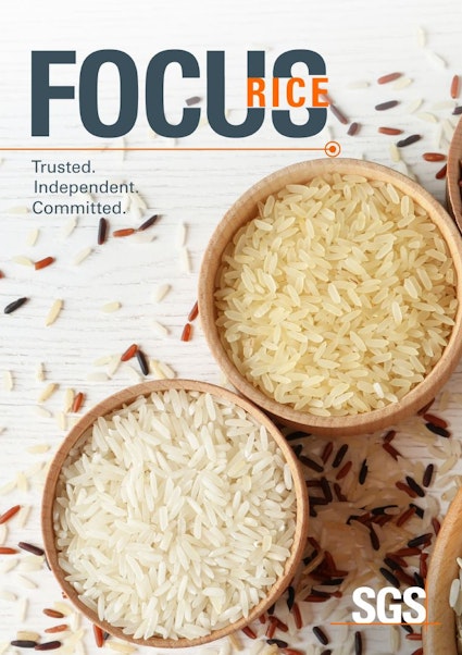 Focus on Rice 2023