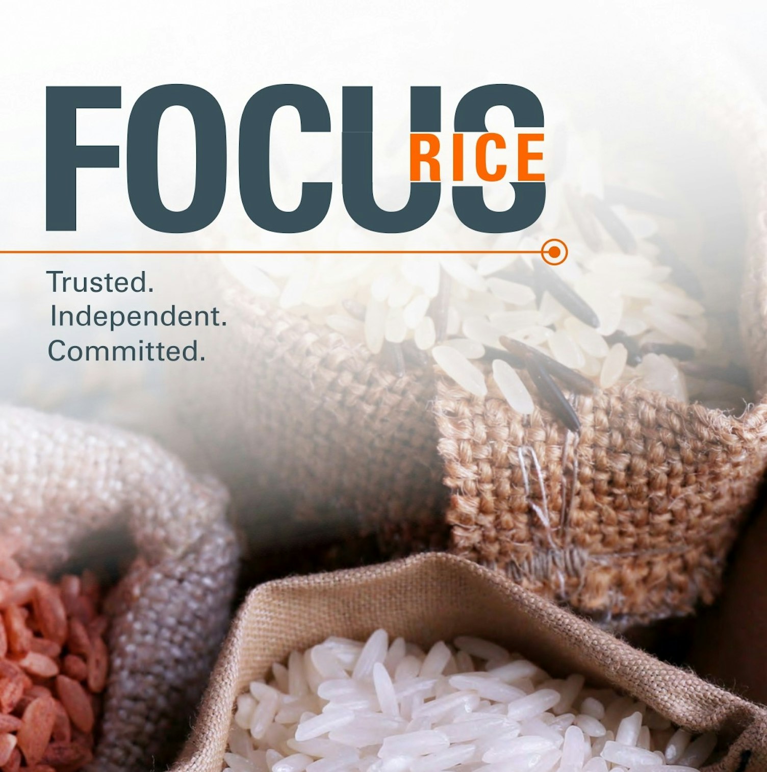 Focus on Rice