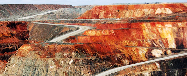 Gold Mine