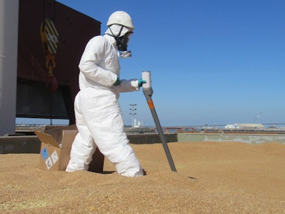 Fumigation de grains par un technicien en équipement de protection Technicien en combinaison de protection effectuant une fumigation sur une cargaison de grains à ciel ouvert.
