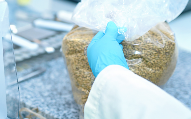 Physical Technological and Chemical Parameters