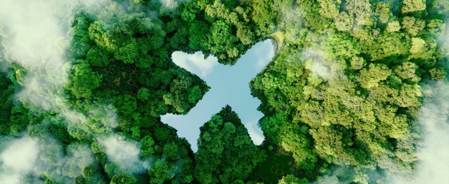 Plane Figure Within The Forest