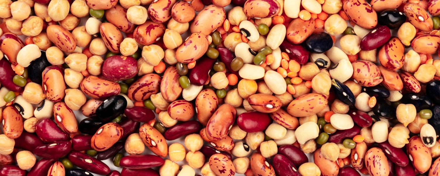 Red Kidney And Pinto Beans Lentils Chickpeas Soybeans And Black Eyed Peas