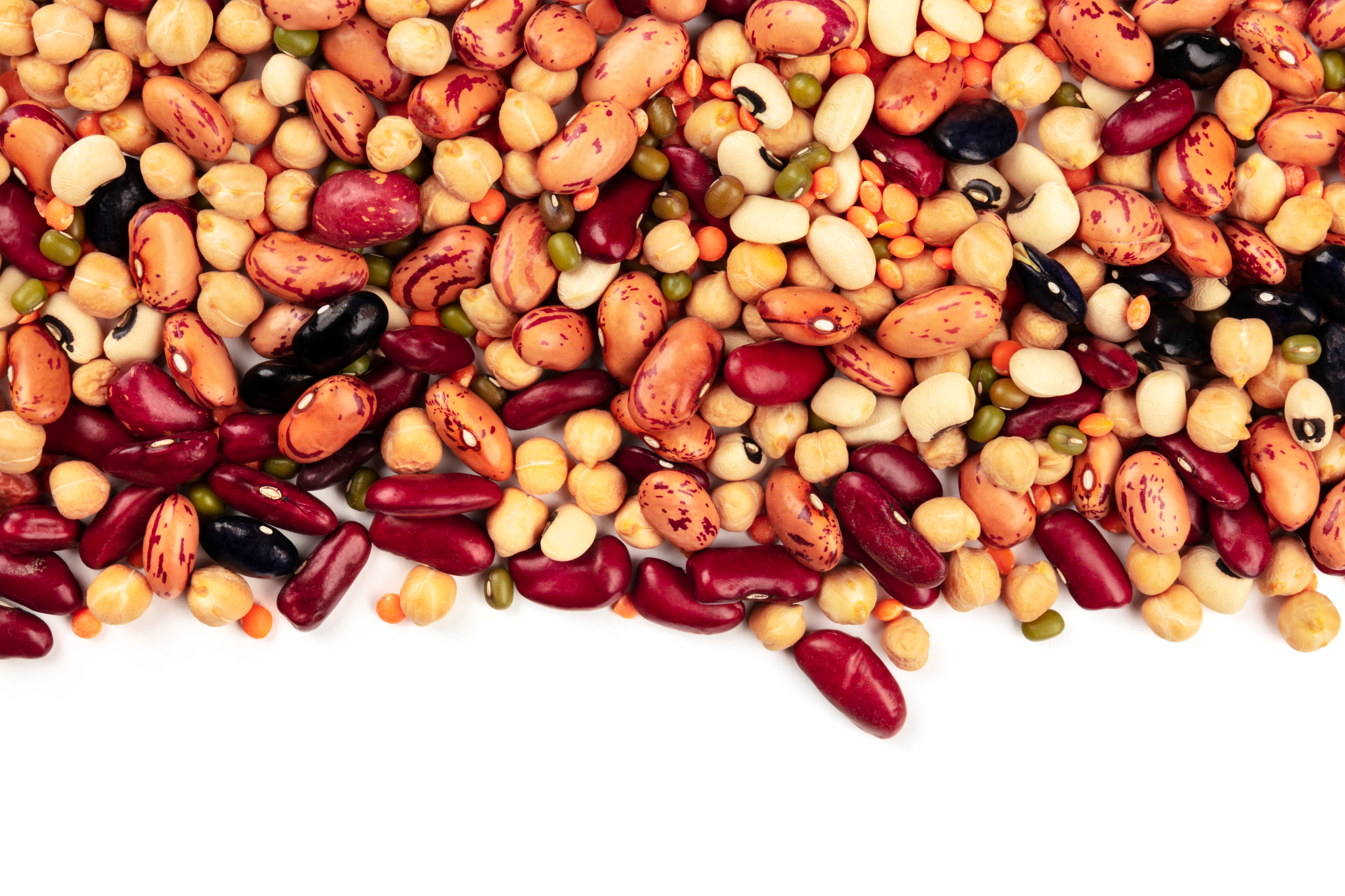Red Kidney And Pinto Beans Lentils Chickpeas Soybeans And Black Eyed Peas