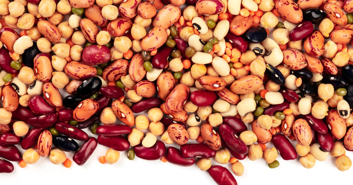 Red Color Pulses Focus on Pulses 2024 | SGS